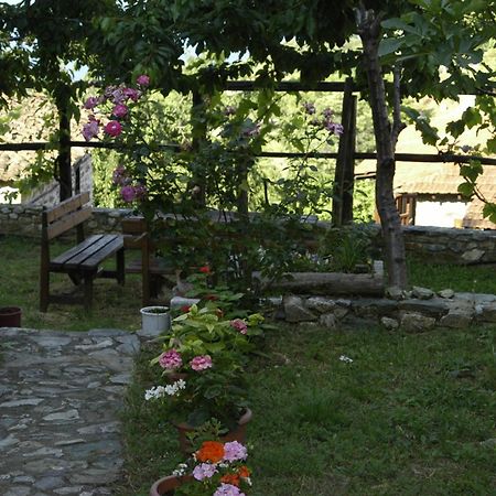 פליאוס פנטלימון Guesthouse Klearchos מראה חיצוני תמונה